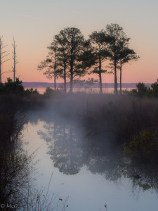 Misty Morning