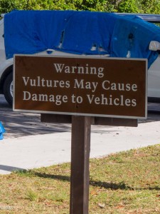 Warning at Royal Palms