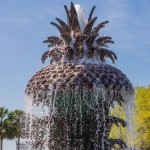 Pineapple Fountain