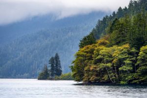 Lake Crescent - after the rain